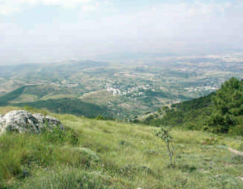 mirador