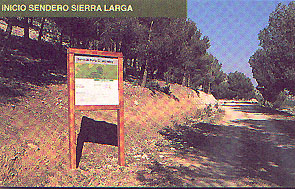 pinar del coto