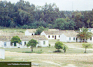 poblado forestal