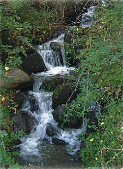 cascada