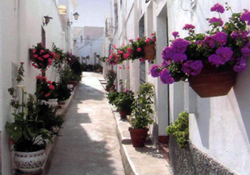 Calle de Lucainena