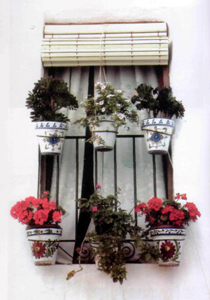 Reja