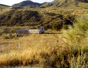 Cortijada