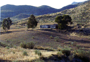 Cortijo
