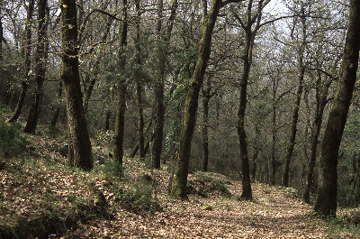 Arroyo de Valdeinfierno