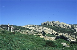Canuto del Risco Blanco