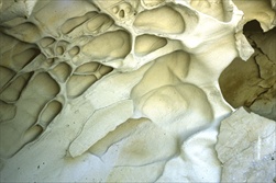Cuevas de Bacine
