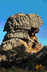 Montera del Torero