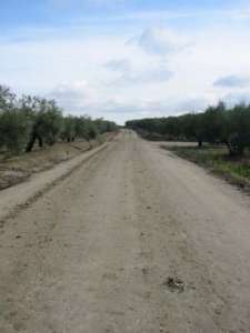Calzada romana