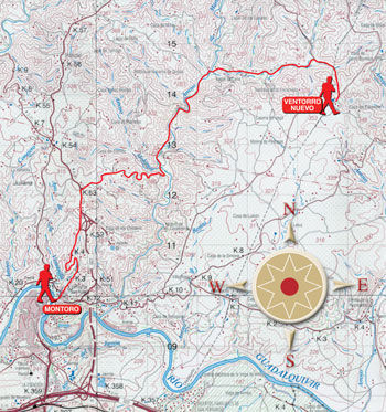 Mapa de ruta