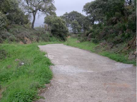 Inicio del sendero