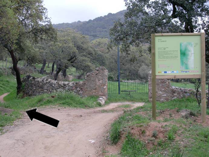 Desvio a la izquierda