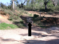 Escalera