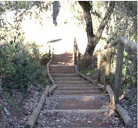 Escalinata