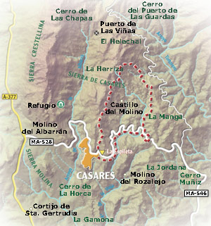 Mapa de ruta