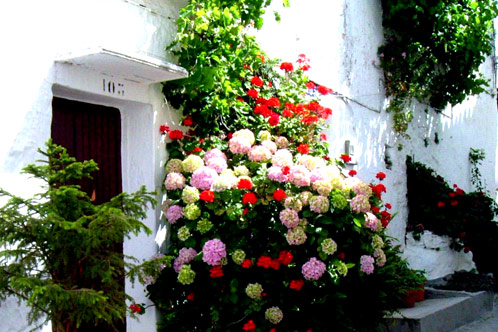 Calle de Casares