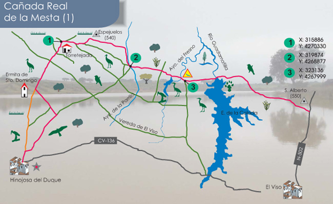Plano Ruta
