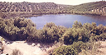 Laguna Amarga