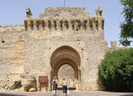 Alcazar Rey Don Pedro