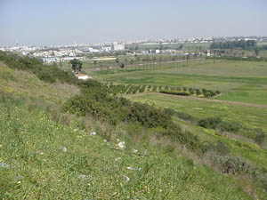 Aljarafe
