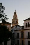 Mezquita de Córdoba