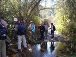 sendero valdelarco galaroza