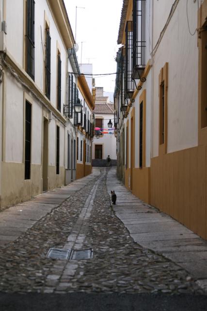 Concurso de Partios Cordobeses 2008