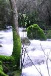 Rio Majaceite