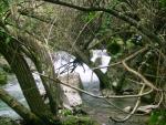 Rio Majaceite 7