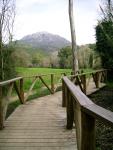 Rio Majaceite 12
