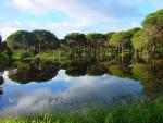 Reflejos del Pinar Chiclana (Cádiz)