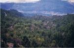 Sierra de Cazorla