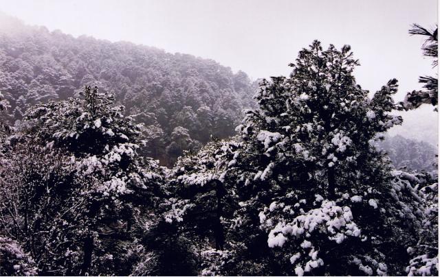 Sierra de Cazorla