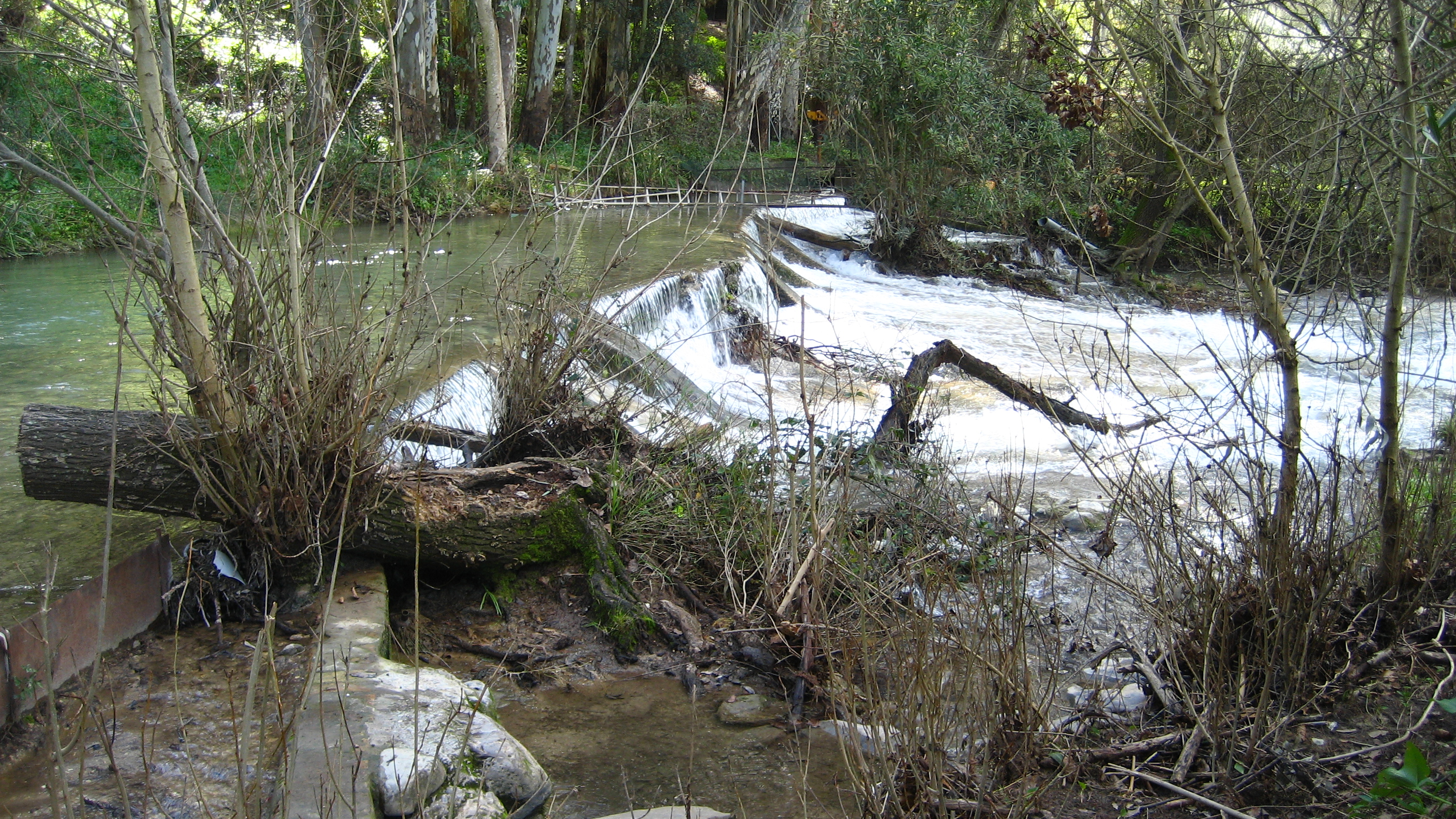 rio majaceite