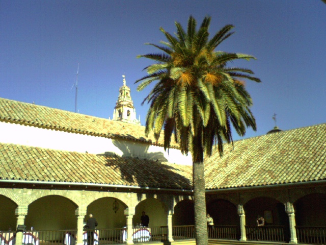 Torre de la Catedral desde el Palacio de Congresos de Córdoba