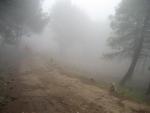 niebla en el sendero