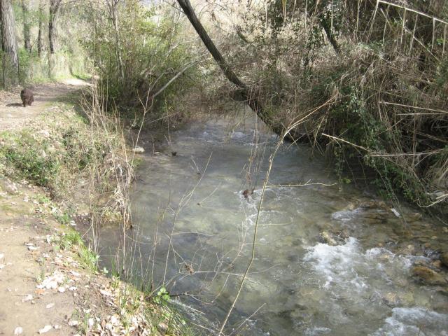 rio majaceite