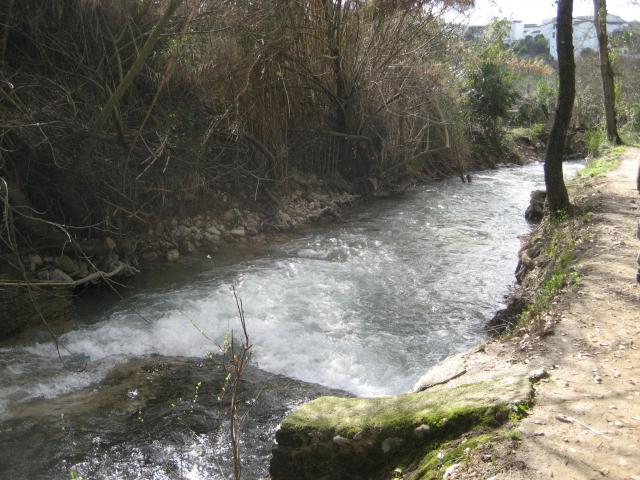 rio majaceite