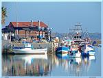 Puerto pesquero de Sancti-Petri, Chiclana